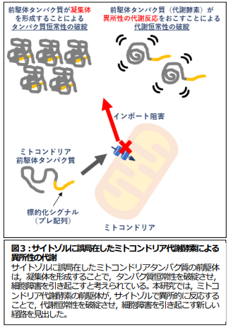 図3