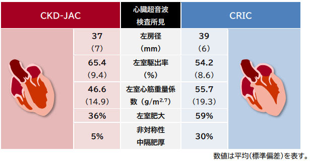 図1．日米の心エコー所見比較