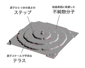 図1：層成長する結晶表面の模式図。ステップの前進が不純物によって阻害される（ピン留め機構）