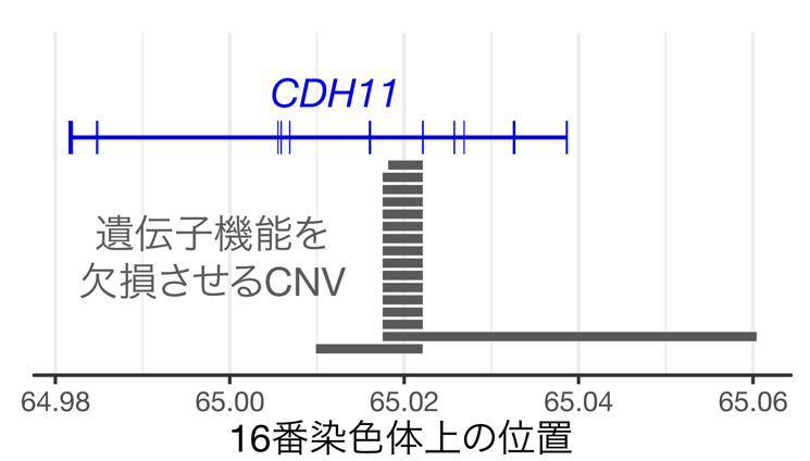 図解