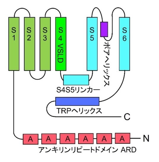 図1