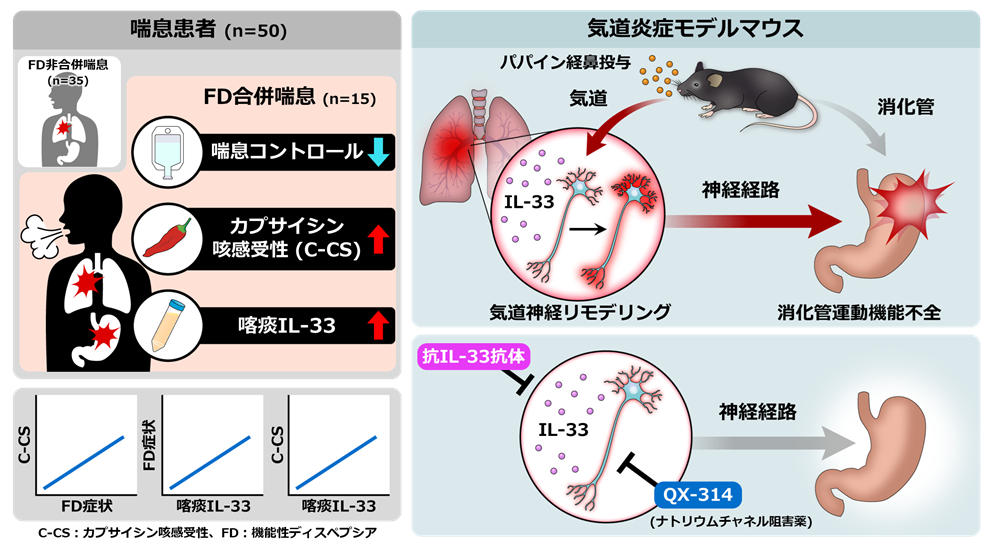 図解