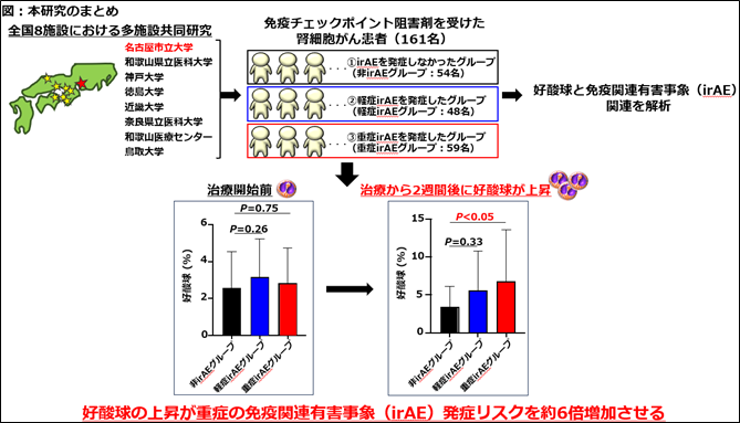 研究のまとめ図