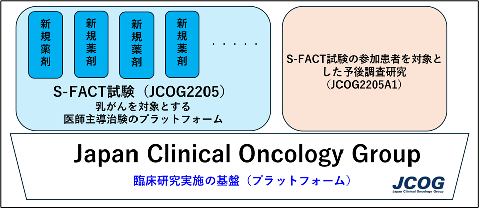 図1：JCOGの臨床研究実施の基盤で行うS-FACT試験の全体像