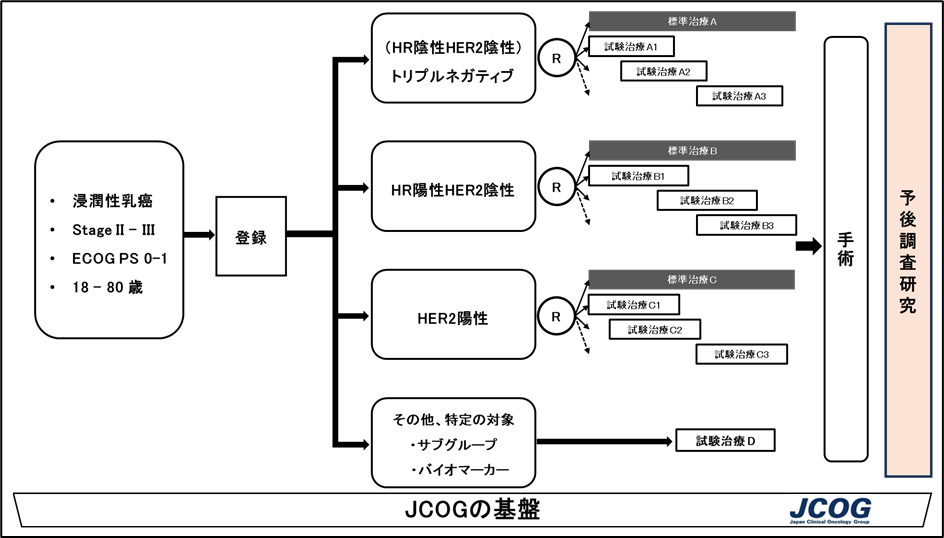 S-FACT試験の概要