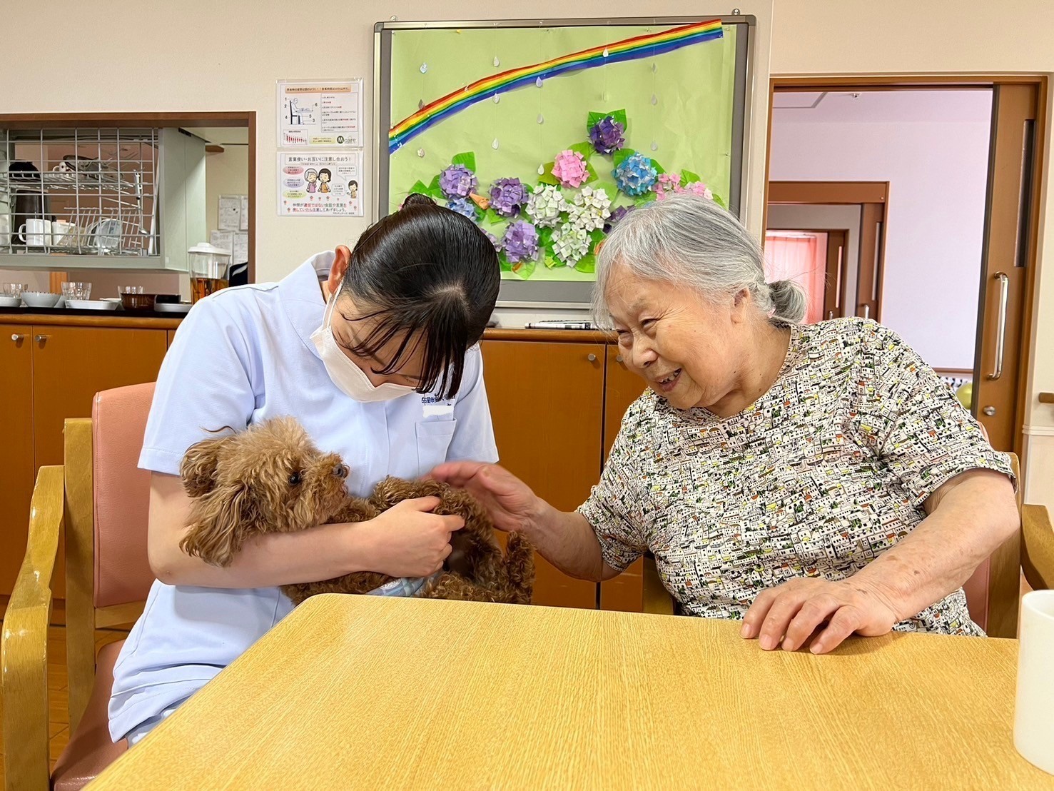 わんちゃんといっしょに実習